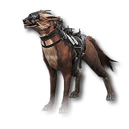 eny_0050_hound